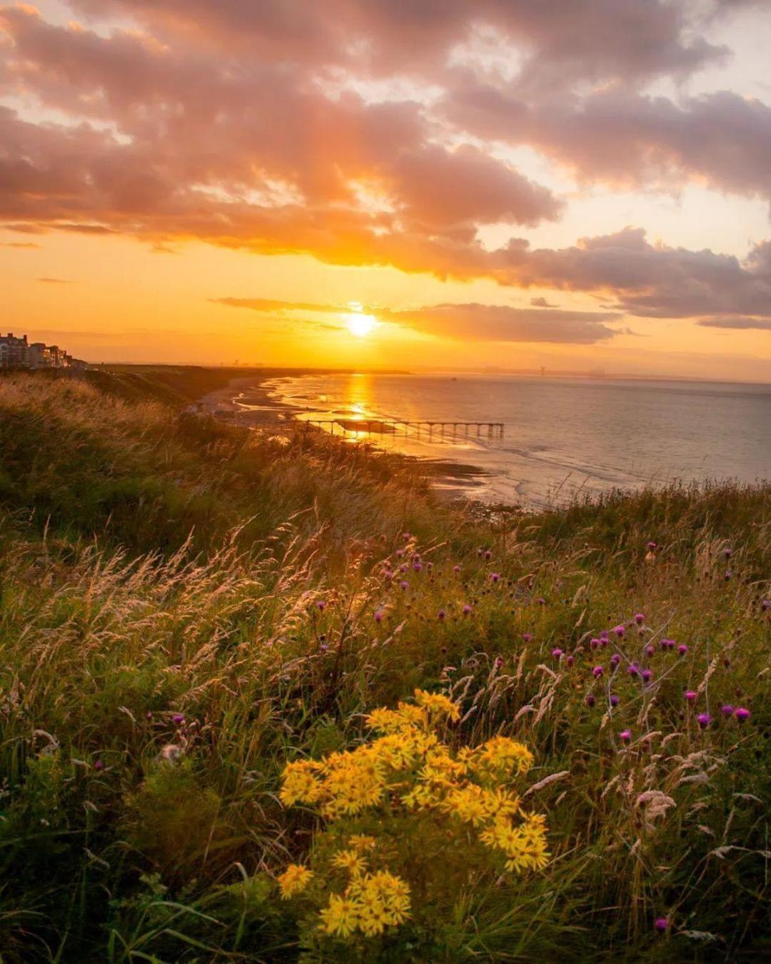 Captain'S Deck Beach Balcony Perfectlysaltburn Экстерьер фото