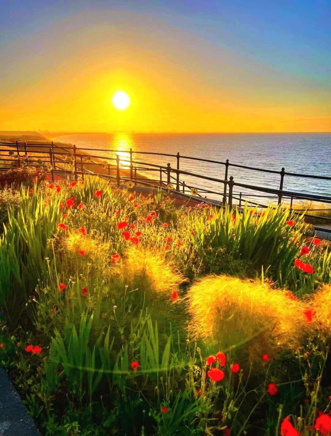 Captain'S Deck Beach Balcony Perfectlysaltburn Экстерьер фото